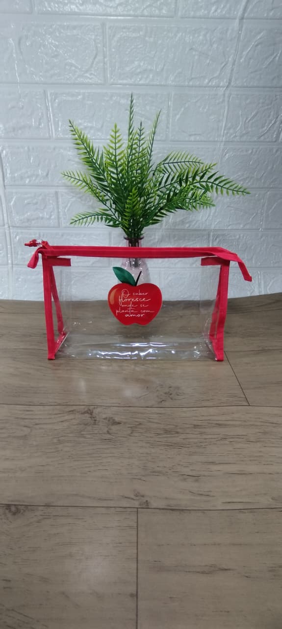 Necessaire Transparente